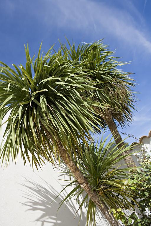 Vacanceole - Carre Marine Aparthotel 3*